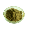 Natural Hericium Mushroom Extract